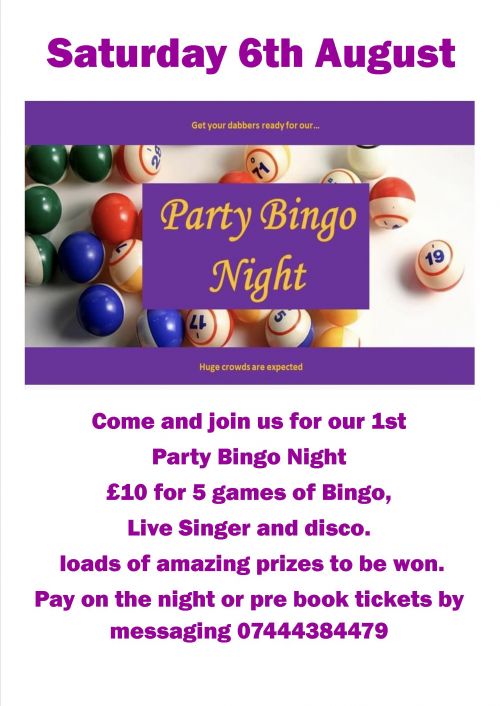 party bingo poster party bingo poster